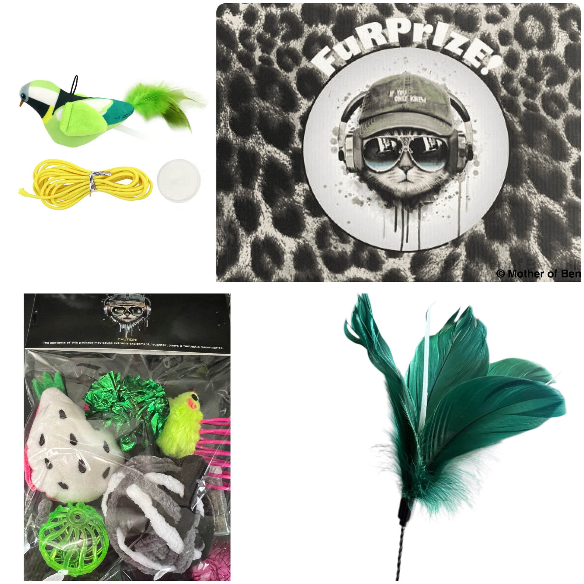 Furprize! Dragonfruit Catnip Toy Starter Set includes Chirping Bird