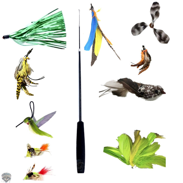 Furprize! Humming Bird Takes Flight,  11 pc Cat Wand Teaser Set🦁