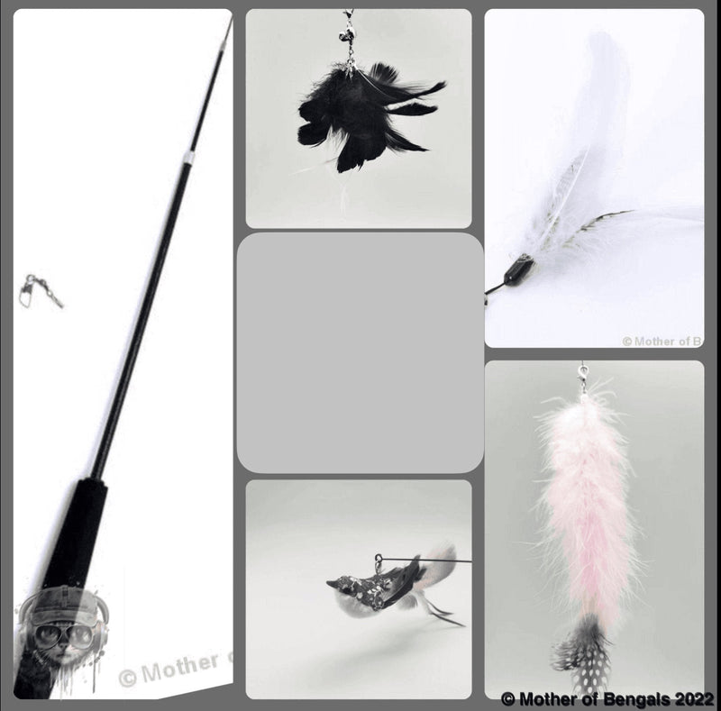 Mother Of Bengals,  Long tail Warbler Bird, 5 piece Feather & Cat Wand Teaser Set