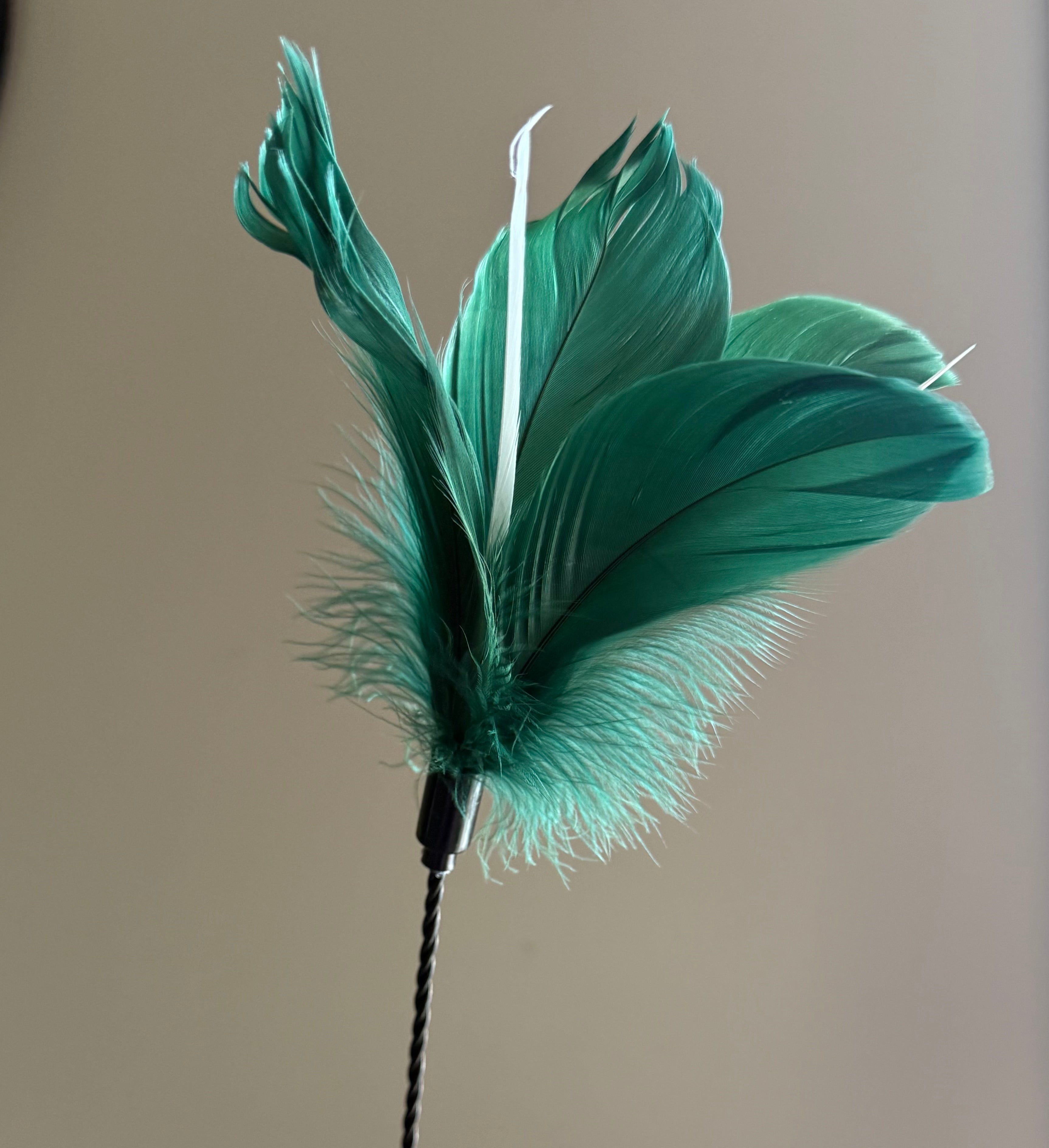 FurPrize! Spring flowers,💐 Feather Cat Toy Teaser Wand