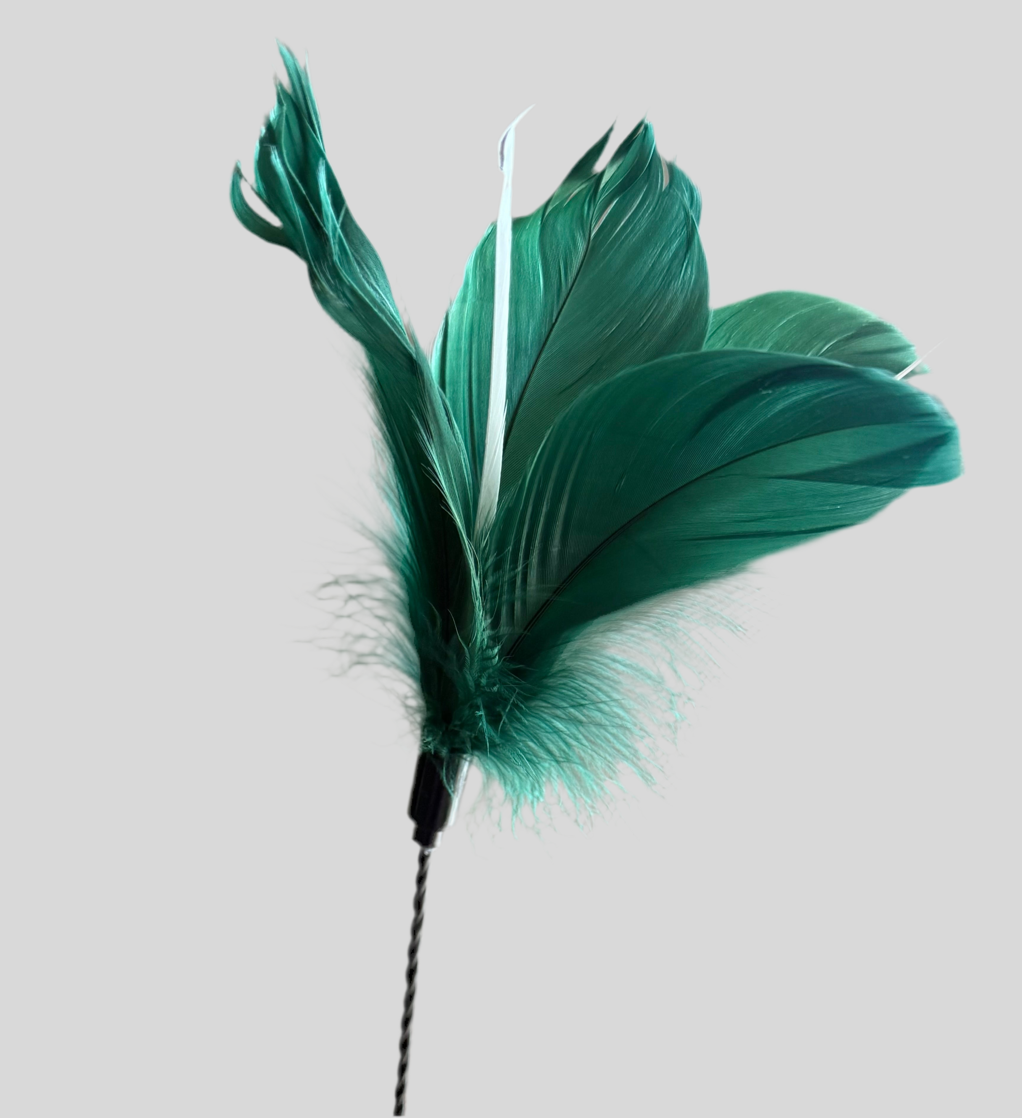 FurPrize! Spring flowers,💐 Feather Cat Toy Teaser Wand