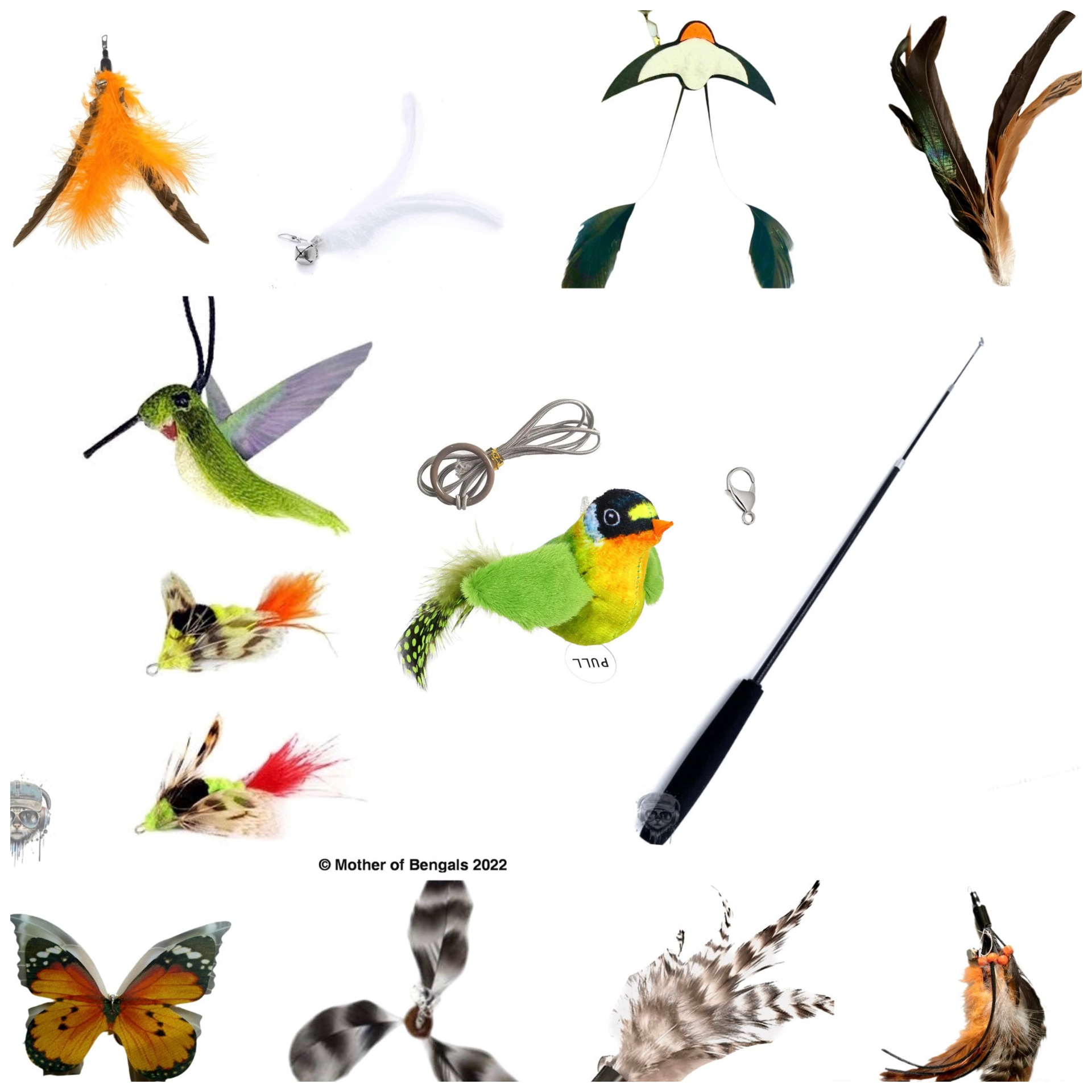 Furprize! Natures Variety , 12 piece Cat Bird Feather & Easy Open Clasp Wand Teaser Set