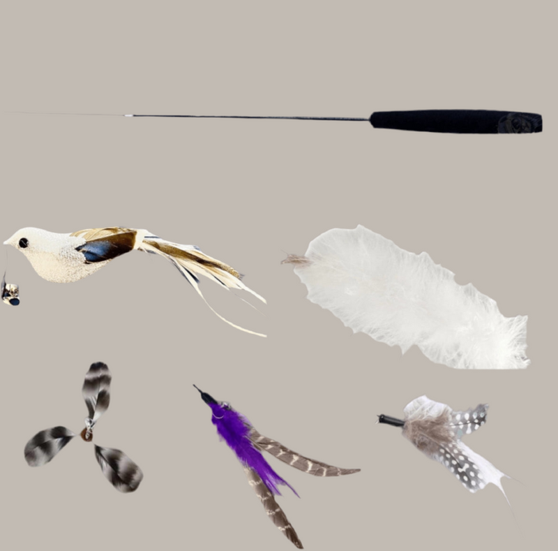 Furprize!Silver Raven Bird 6 piece Feather & Cat Wand Teaser Set