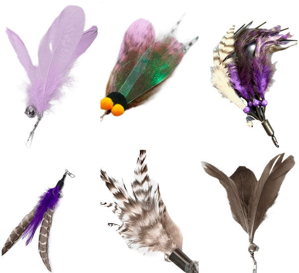 Furprize! Flies and Raven Claw, Purple , 6 piece Feather Wand Teaser Refill Set