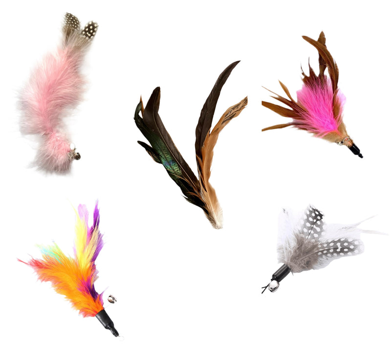 Furprize! Pheasently Pink, 5 piece Feather Wand Teaser Refill Set