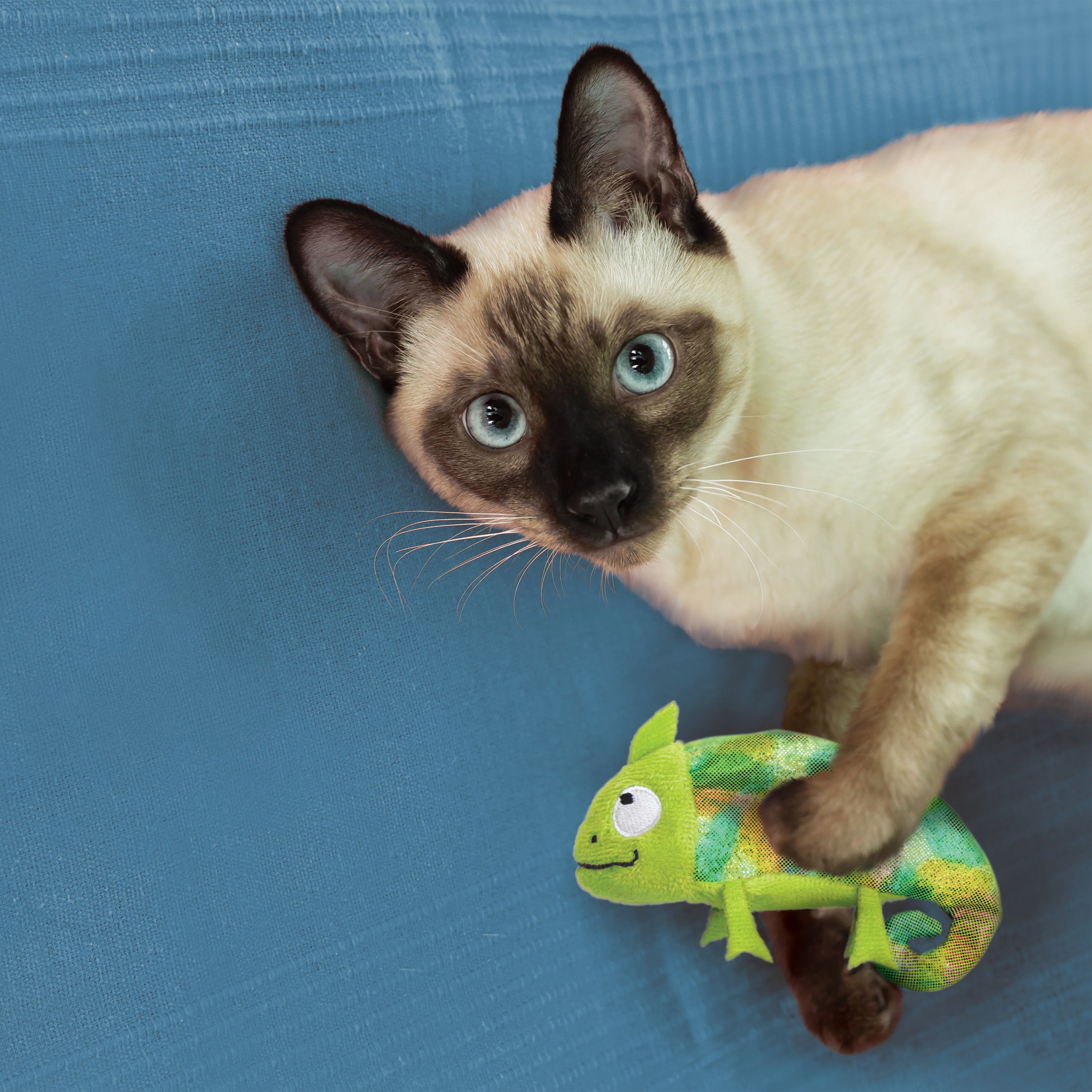 KONG® Refillables Chameleon Cat Toy