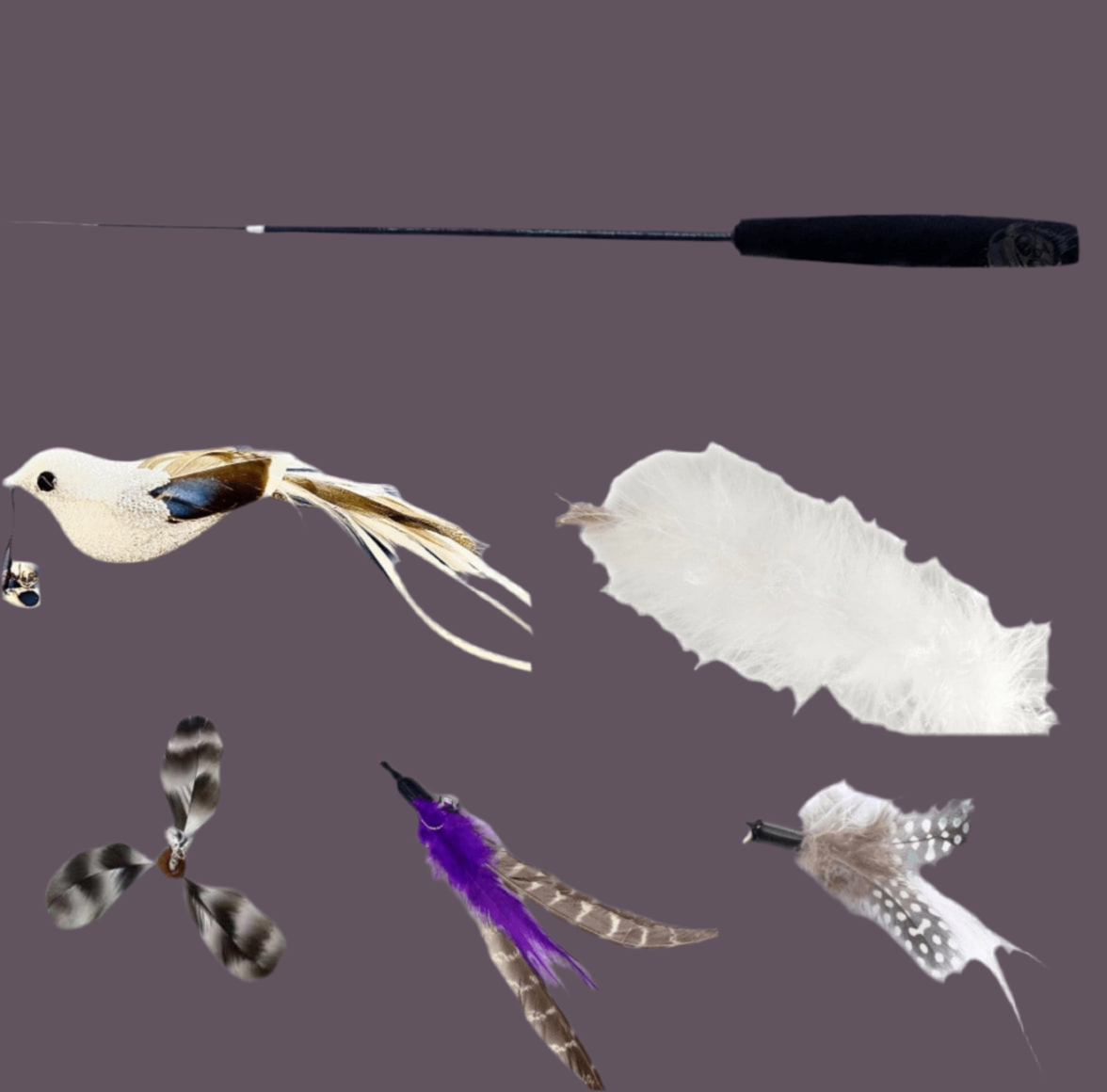 Furprize!Silver Raven Bird 6 piece Feather & Cat Wand Teaser Set