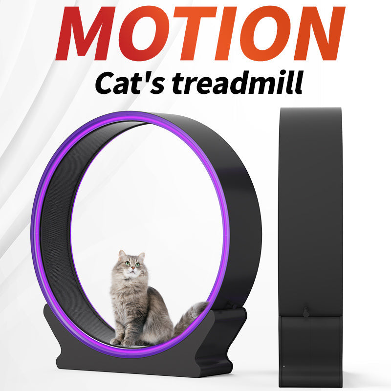 Cardio Cat Exercise Running Cat Wheel, CLEARANCE, ALL SALES FINAL