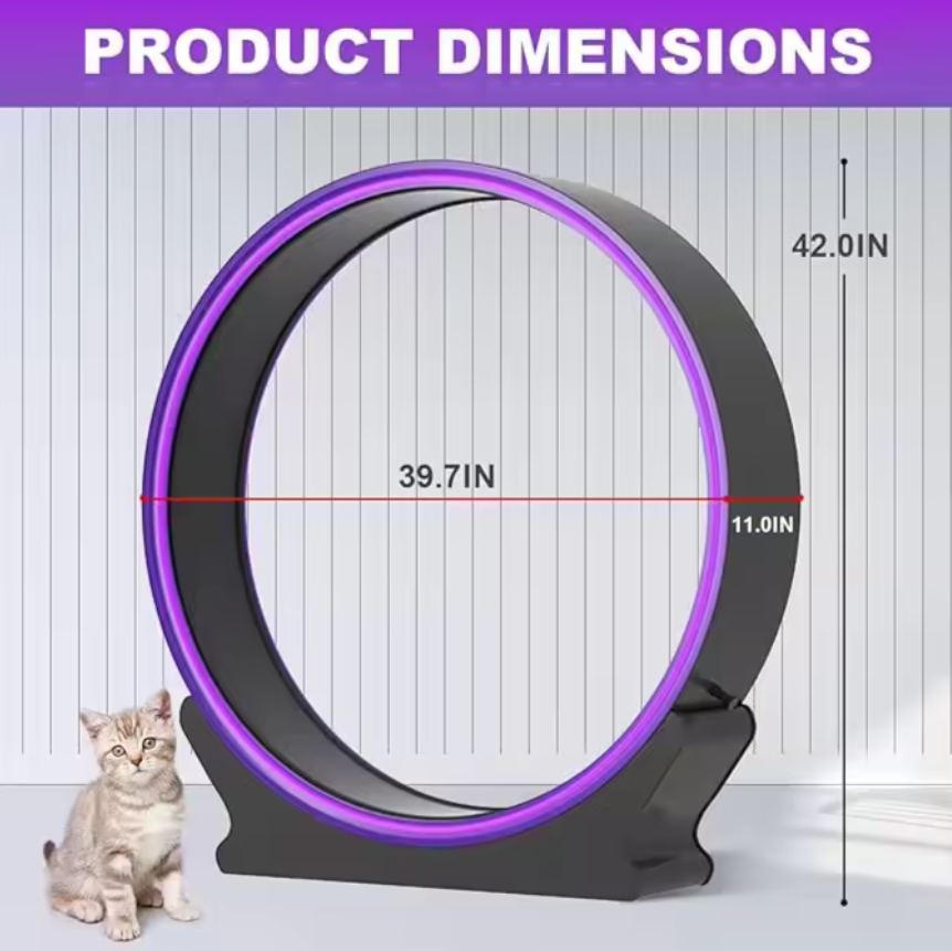 Cardio Cat Exercise Running Cat Wheel, CLEARANCE, ALL SALES FINAL