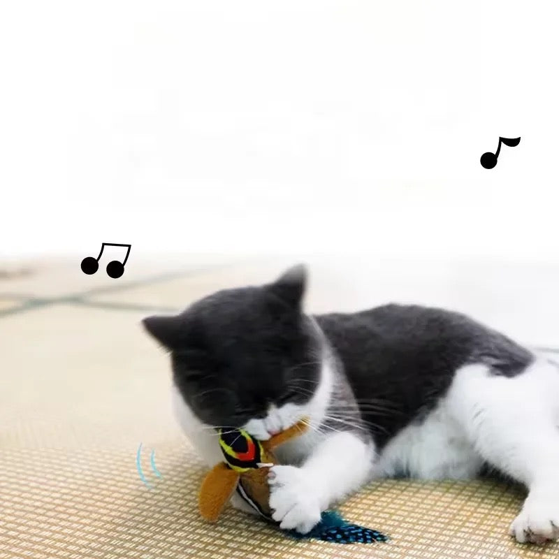 Furprize! Interactive Chirping Bird Feather Cat Toy and refill