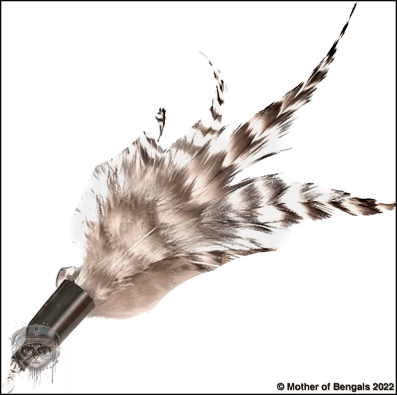 Furprize! Native Bird, 3 piece Feather Wand Teaser Refill Set