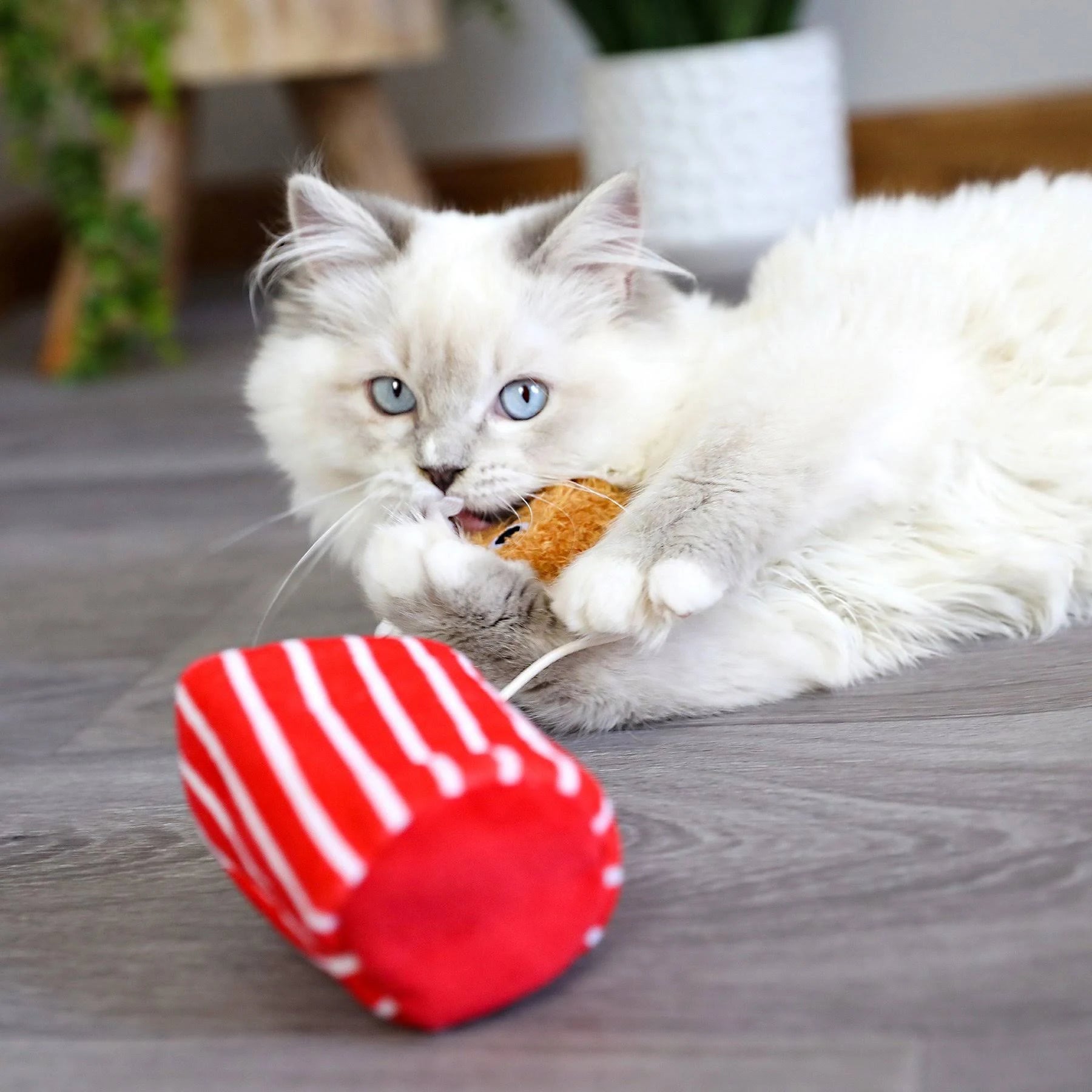 Mad Cat Catucky Fried Chicken Cat Toy with Catnip