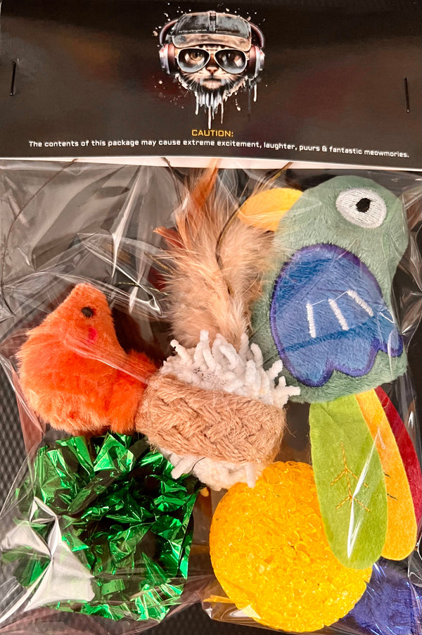 Furprize! Parrot Assorted Cat Toy Cat Toy FurPrize! 