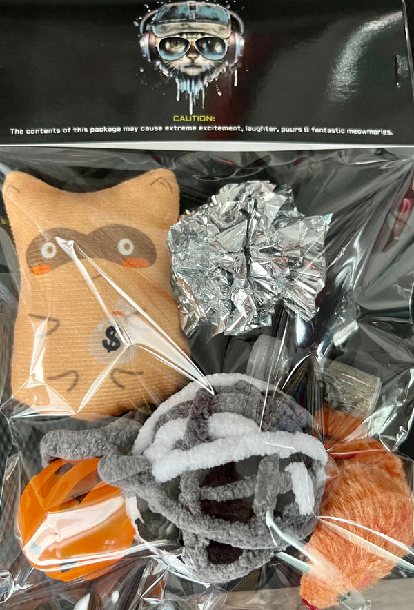 Furprize! Money grab, Assorted Catnip Infusion Toys Cat Toy FurPrize! 