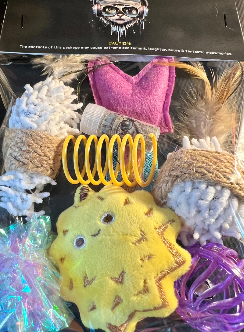 Furprize! Durian- purple, Assorted Catnip Infusion Toys Cat Toy FurPrize! 