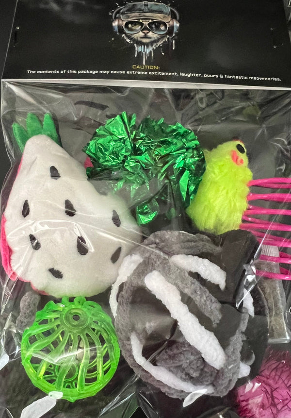 Furprize! Dragonfruit Assorted Catnip Infusion Toys Cat Toy FurPrize! 