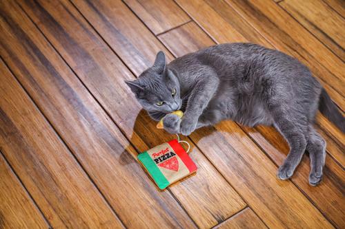 Mad Cat Purrfect Pizza Cat Toy with Catnip
