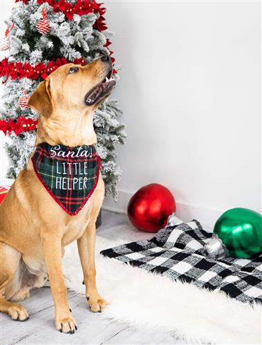 "Santa's Little Helper" Bandana by Pearhead