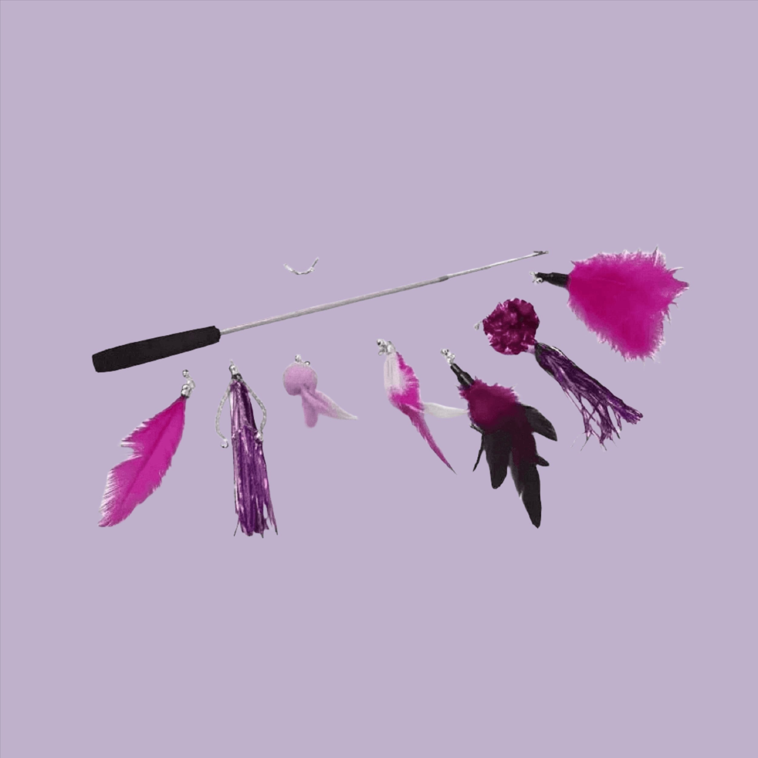 FurPrize! 8 piece Feather & Cat Wand Teaser Set Bundle FurPrize! Magenta 