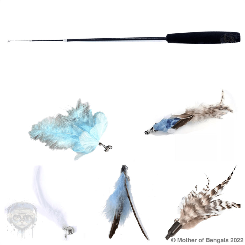 Furprize! Blue Bird, 6 piece Feather & Cat Wand Teaser Set Bundle FurPrize! Wand & Refill,6 pc 
