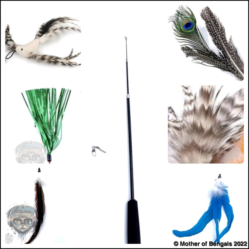 FurPrize! Peacock Bird, 7 piece Feather & Cat Wand Teaser Set Bundle FurPrize! 