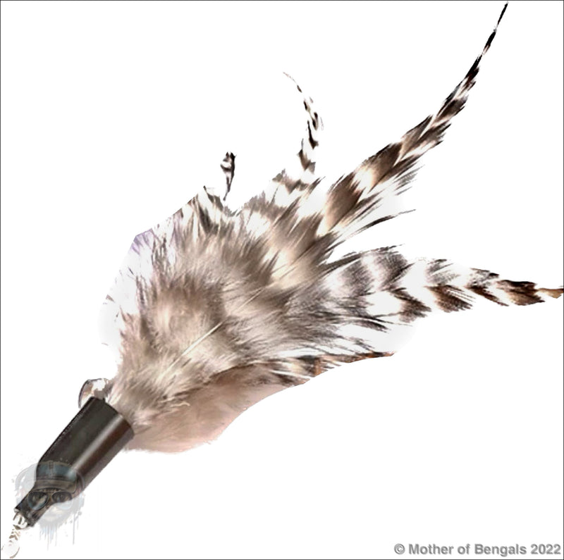 Furprize! Pheasently appealing , 8 piece Cat Bird Feather & Wand Teaser Set Bundle FurPrize! 
