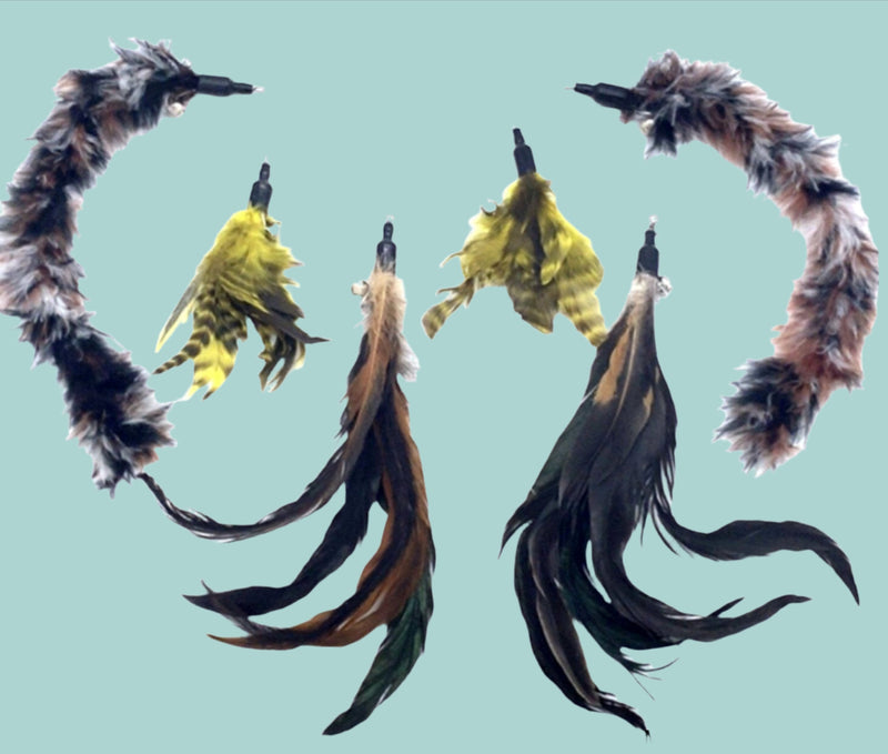 FurPrize! Wild Turkey 7 piece Feather Teaser Set 🦃 Feather Refill FurPrize! 