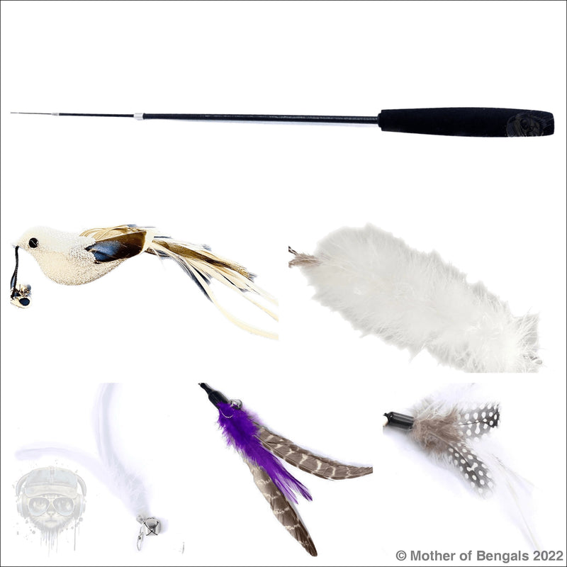 Furprize!Silver Raven Bird 6 piece Feather & Cat Wand Teaser Set Bundle FurPrize! 