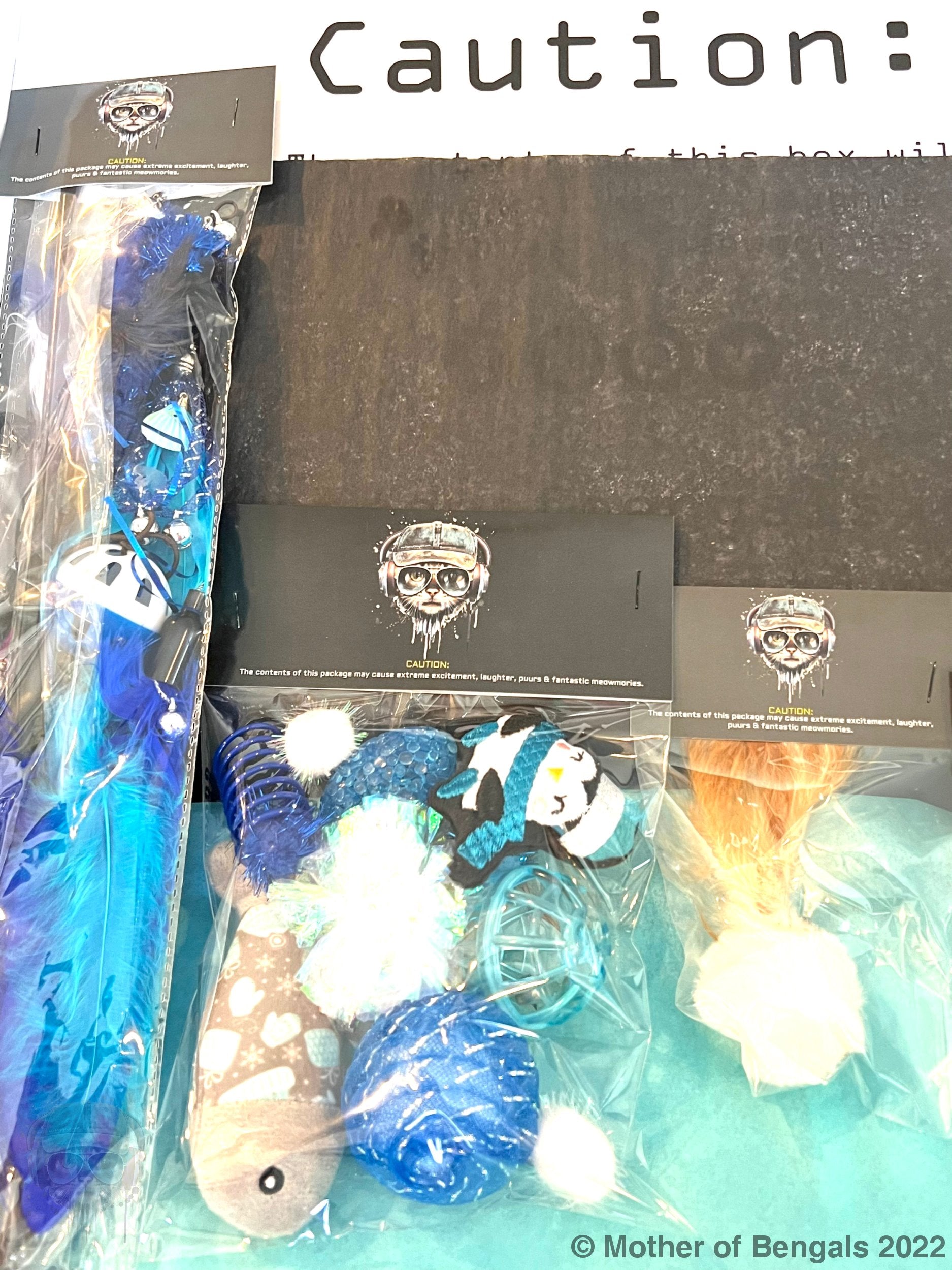 FurPrize! Holiday Penguin Mini Cat Toy Gift Box Cat Toy Mother of Bengals 