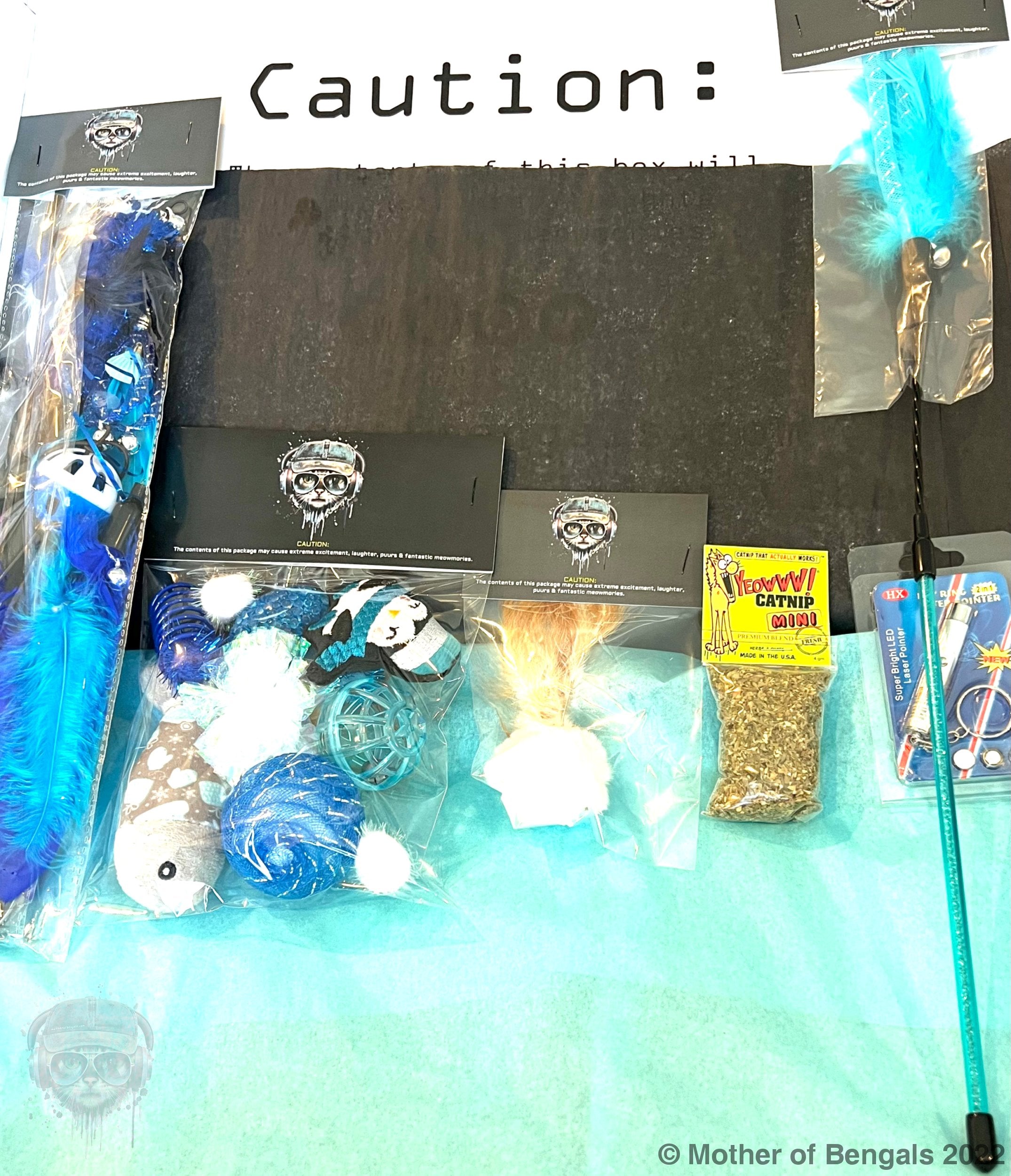 FurPrize! Holiday Penguin Mini Cat Toy Gift Box Cat Toy Mother of Bengals 