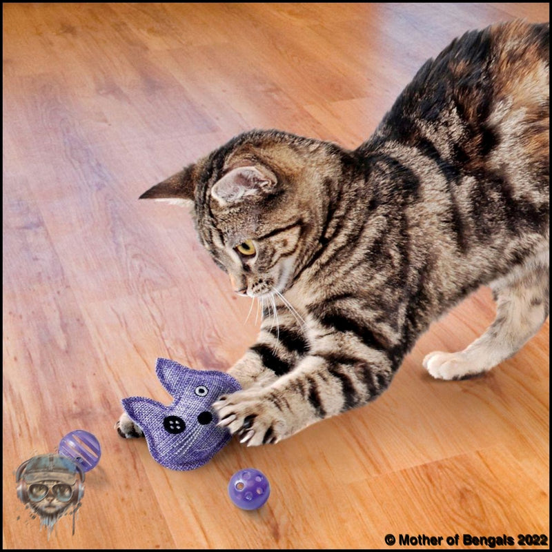 Kong Active Trio Cat Toy Cat Toy Kong Purple 
