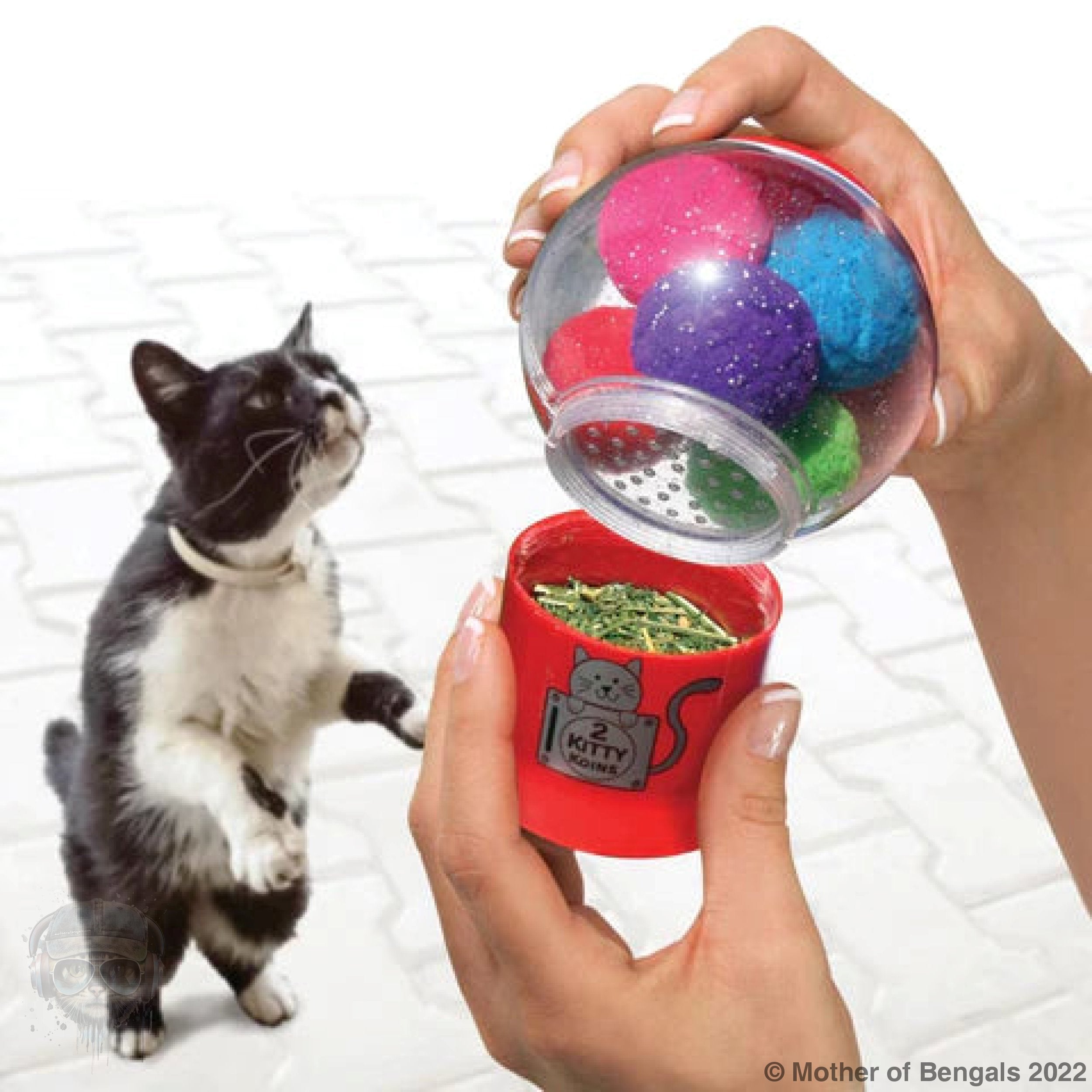 KONG CATNIP INFUSER Cat Toy Kong 